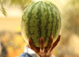 娱乐大瓜在线吃,娱乐大瓜在线吃，明星幕后故事大公开